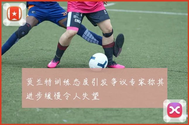 莫兰特训练态度引发争议专家称其进步缓慢令人失望