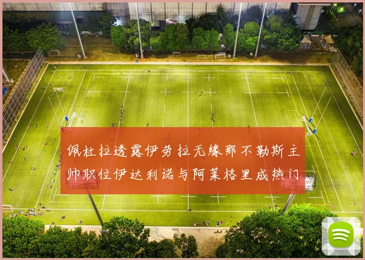 佩杜拉透露伊劳拉无缘那不勒斯主帅职位伊达利诺与阿莱格里成热门候选人